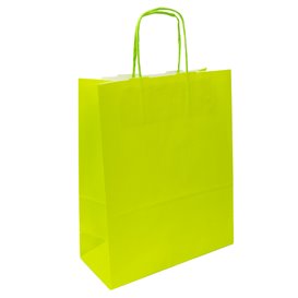 Sac en Papier Vert avec Anses 100g/m² 22+9x23cm (250 Utés)