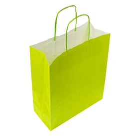 Sac en Papier Vert avec Anses 100g/m² 22+9x23cm (250 Utés)