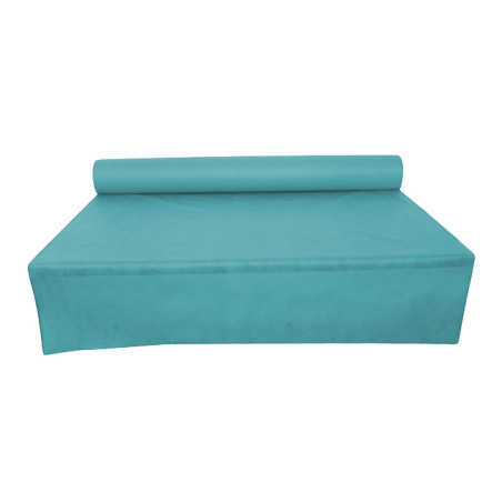 Nappe Rouleau PP Non Tissé Turquoise 1,2x50m 50g (6 Utés)