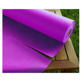 Nappe Rouleau PP Non Tissé Fuchsia 1,2x50m 55g (6 Utés)