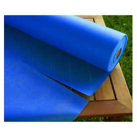 Nappe Rouleau PP Non Tissé Bleu Royal 1,2x50m 50g (6 Utés)