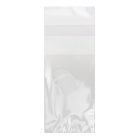 Plastic zak met Zelfklevende flap Cellofaan 4x6cm G-160 (1000 stuks)