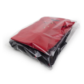 Plastic zakken zelfklevende flap CPP G160 25x35cm (1000 stuks)