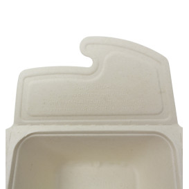 Pakket Suikerriet Box to Go 17x13x7cm 750ml. (50 stuks)