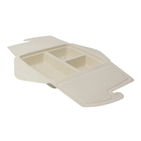 Pakket Suikerriet Box to Go 3C 21x21x4cm 900ml (50 stuks)