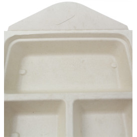 Pakket Suikerriet Box to Go 3C 21x21x4cm 900ml (50 stuks)