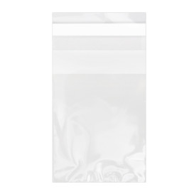 Plastic zak met Zelfklevende flap Cellofaan 6x8cm G-160 (1000 stuks)