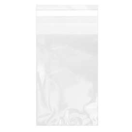 Plastic zak met Zelfklevende flap Cellofaan 8x12cm G-160 (1000 stuks)