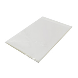 Plastic zak met Zelfklevende flap Cellofaan 25x35cm G-160 (1000 stuks)