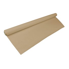 Nappe papier en ROULEAU Eco Kraft 1x100m 40g (6 Utés)