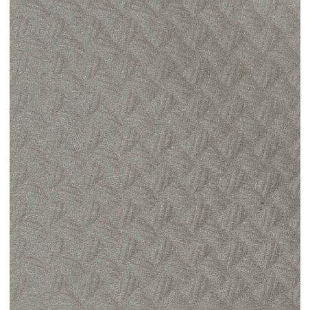 Nappe papier en Rouleau Gris 1x100m 40g (1 Unité)