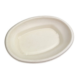 Plateau Canne à Sucre 500ml 24x17x4cm (75 Utés)