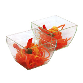 Fingerfood Schaaltje Vierkant PS 5,5x3,3x4cm 75ml (200 Stuks)