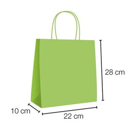 Sac en Papier Vert avec Anses 90g/m² 28+10x22 cm (250 Utés)