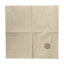 Papieren servet Eco-Vriendelijk met Rand 2-laags 20x20cm (3.200 stuks) 