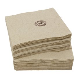 Papieren servet Eco-Vriendelijk met Rand 2-laags 20x20cm (100 stuks) 